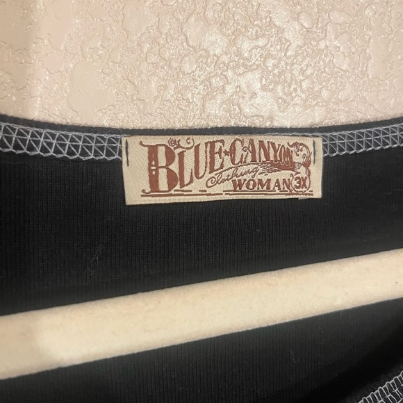 Y2K Vintage Blue canyon clothing plus size 3X top - Picture 4 of 4